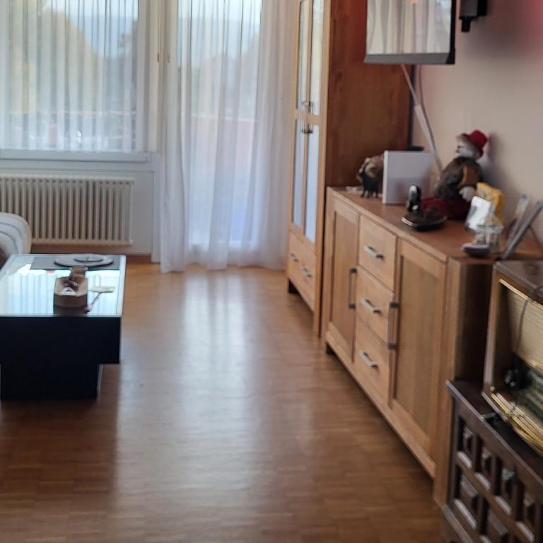 WG-Zimmer für langzeit... in Dübendorf - Bild 1