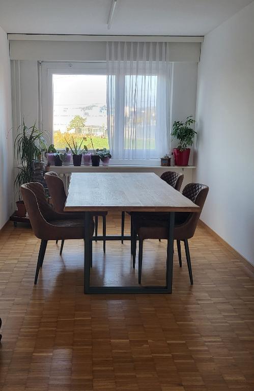 WG-Zimmer für langzeit... in Dübendorf - Bild 2