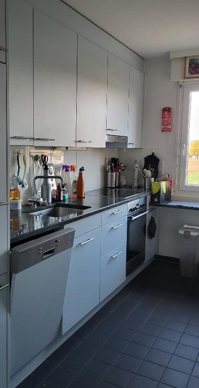 WG-Zimmer für langzeit... in Dübendorf - Bild 3