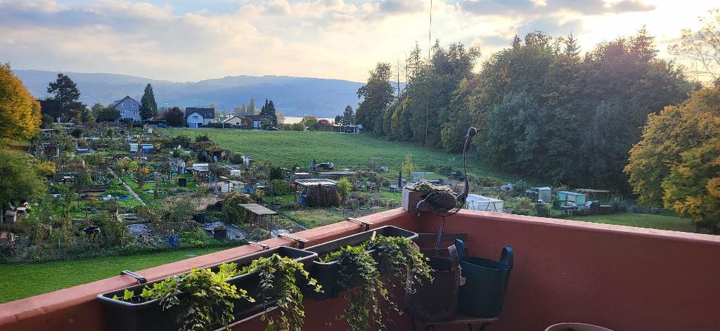 WG-Zimmer für langzeit... in Dübendorf - Bild 7