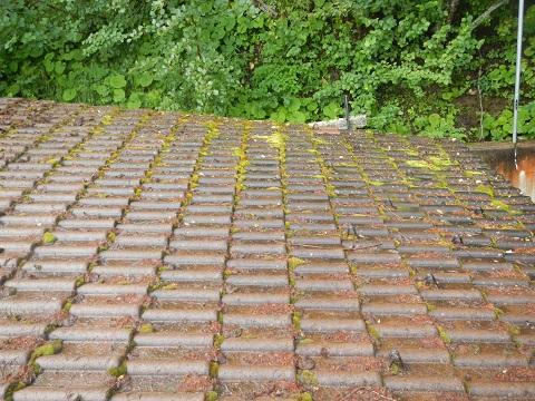 Dach .Terrassen .Fassadenreinigung Von Moss in Dübendorf - Bild 3