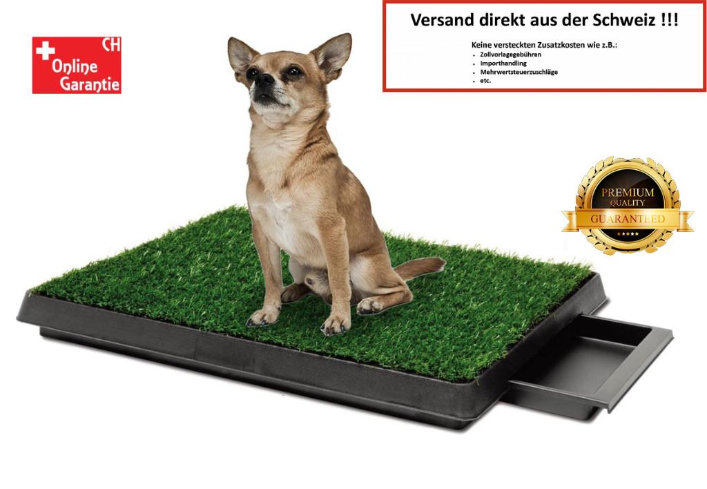 Hunde Klo WC Welpen Stubenrein Trainingsgerät Kunstrasen in Brig - Bild 1