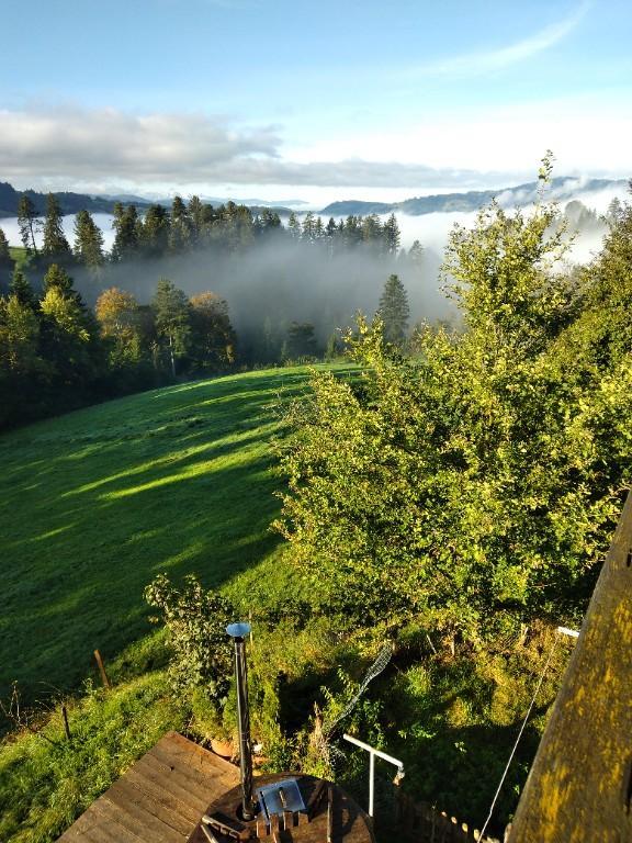 Vermiete möblierte 3,5 Zimmwohnung in Langnau - Bild 3