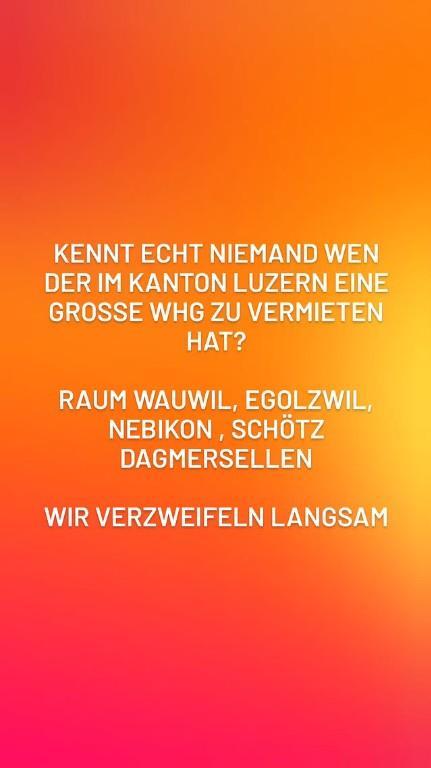 wohnung gesucht in Wohlen - Bild 1