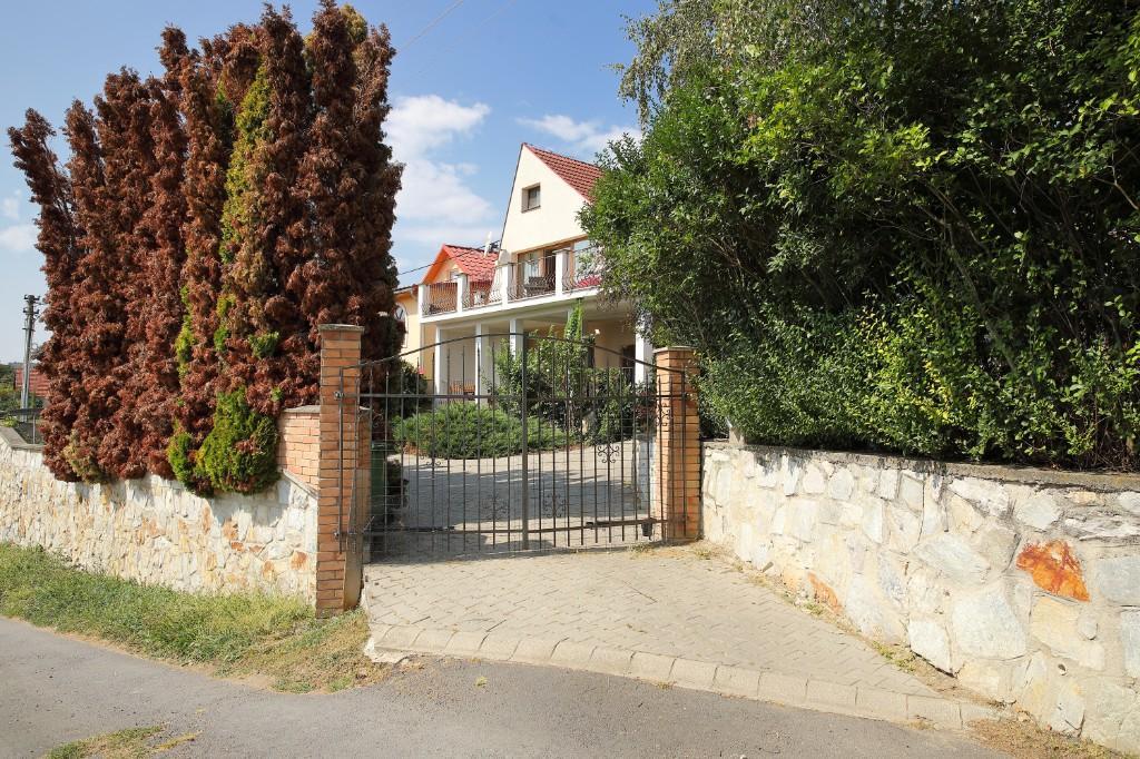 Anwesen mit Weinberg und Wohnhaus in Vinica / Slowakei in der Schweiz - Bild 8
