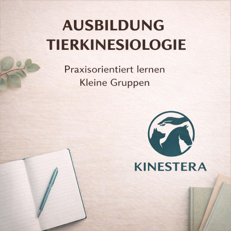 Ausbildung Tierkinesiologie – kleine Gruppe – Start 2026 in Belp - Bild 1