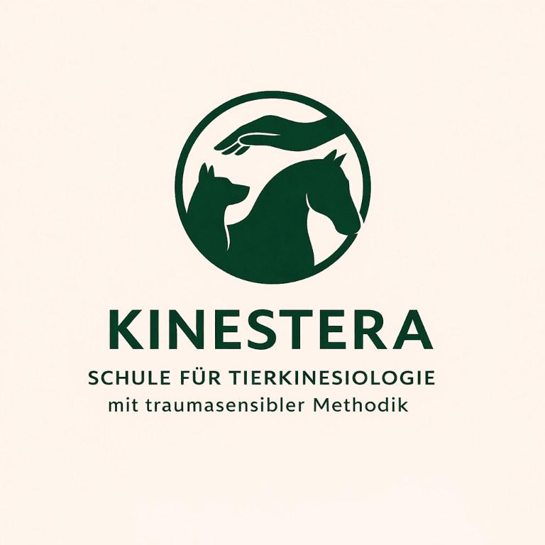 Ausbildung Tierkinesiologie – kleine Gruppe – Start 2026 in Belp - Bild 2