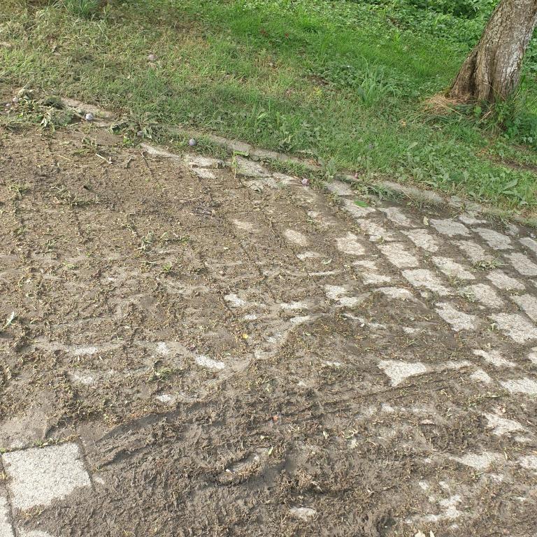 Fachgerechte Handwerker in Wohlen - Bild 7