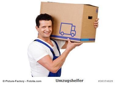 Allrounder Körperliche Arbeit in Zürich - Bild 2