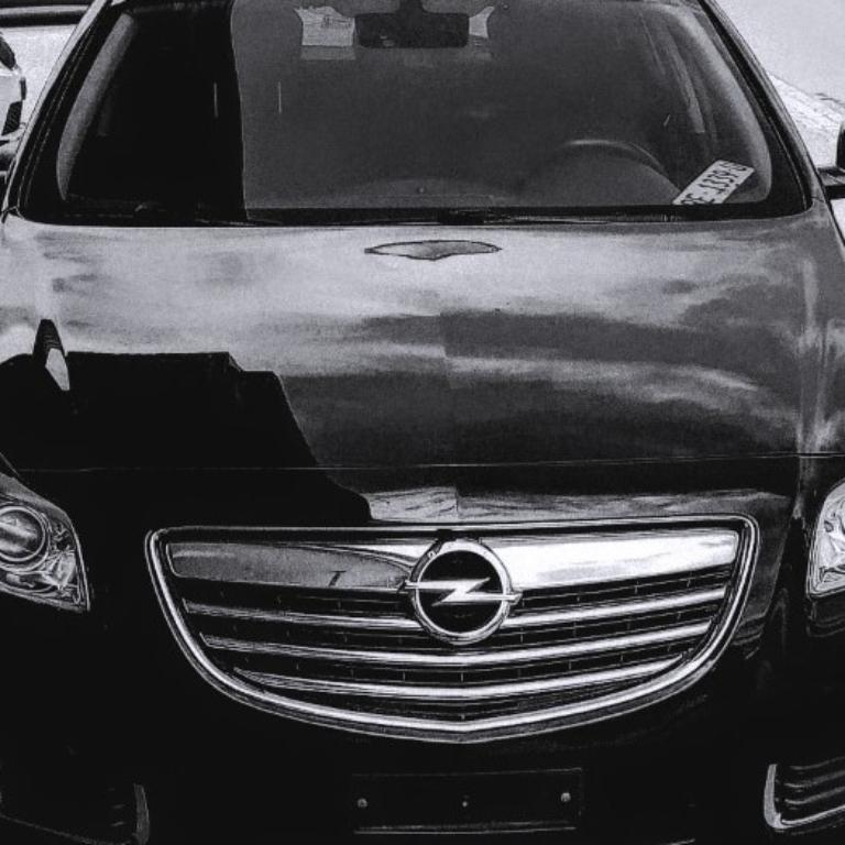 Privatchauffeur, Chauffeur, Begleitungen, Airportservice, Bern in der Schweiz - Bild 1