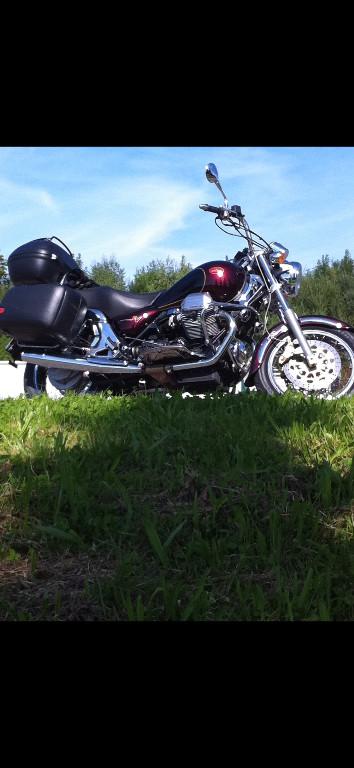 Zu verkaufen MotoGuzzi 1100 eV in Flawil - Bild 2