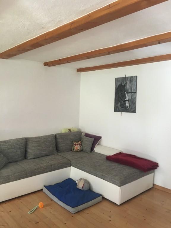 Wohnen am Waldrand mit Tieren in Muri - Bild 1