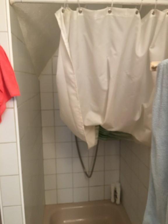 Wohnen am Waldrand mit Tieren in Muri - Bild 7