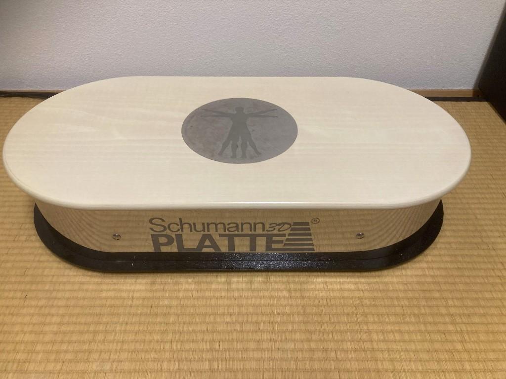Schumann 3D-Platte für Prävention Rehabilitation in der Schweiz - Bild 1