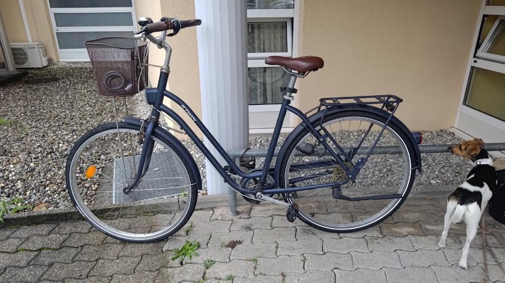 Damenvelo von Btwin - gebraucht in gutem Zustand in Bellinzona - Bild 1