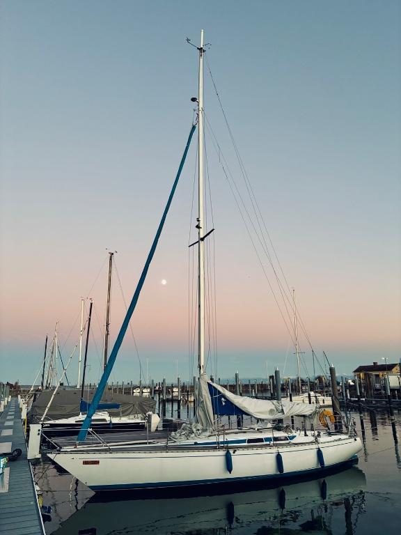 Saisonvermietung 2026 Segelboot Avance 36 in Altenrhein in Rorschach - Bild 1