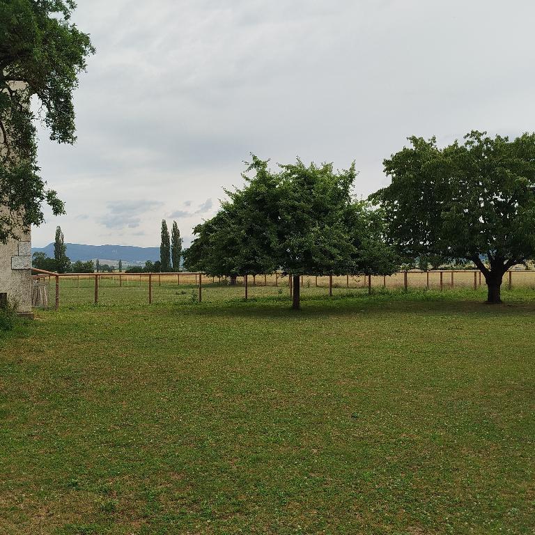 Haus mit Aussicht in den Naturpark zu verkaufen in Bad Zurzach - Bild 1