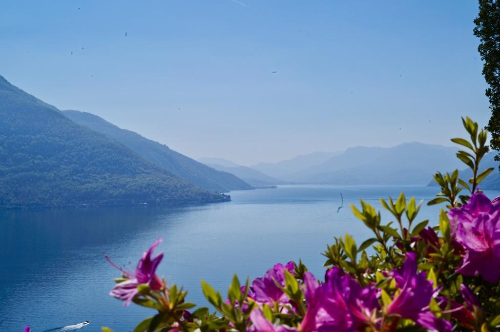 Immobilienmakler in Ascona in Locarno - Bild 1