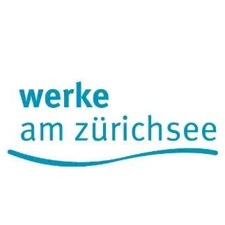 Fachspezialist/in Mess- & Kontrollwesen Strom in Langnau am Albis - Bild 1