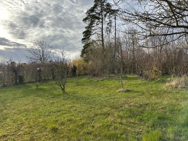 Sonnige Wiese/Garten am Waldrand zu vermieten in Opfikon - Bild 1