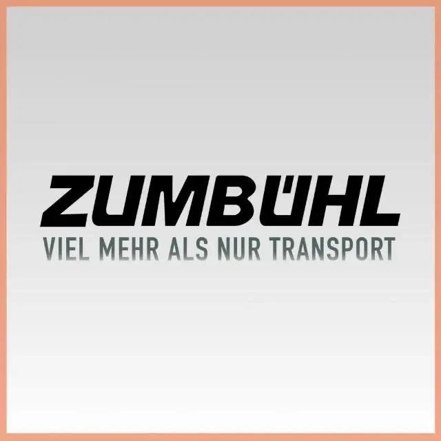Chauffeur C / CE in Hünenberg - Bild 1