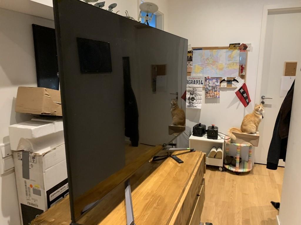 ASUS ROG pg65uq 65 Inch 4K Monitor in Köniz - Bild 3