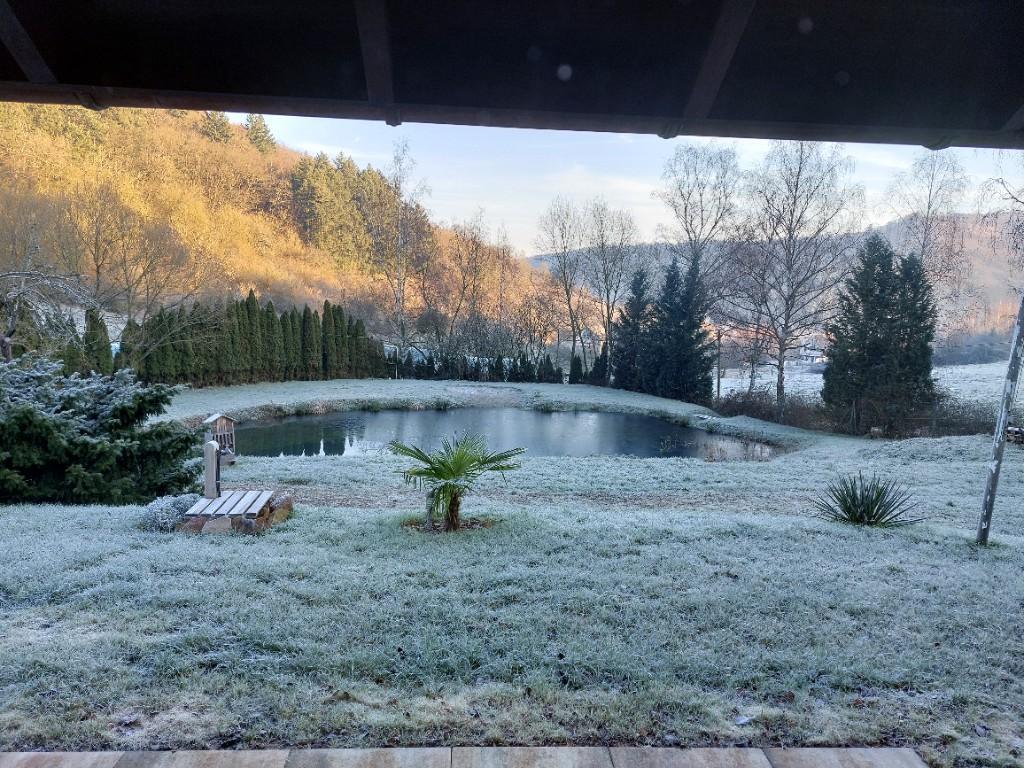 Blockhaus in der Pfalz voll in der Natur in der Schweiz - Bild 2