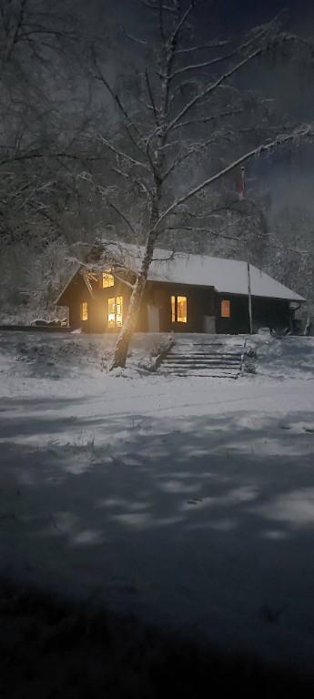 Blockhaus in der Pfalz voll in der Natur in der Schweiz - Bild 4