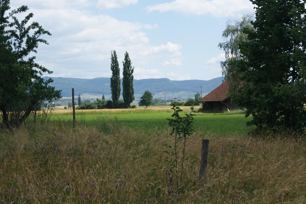 Haus mit Aussicht in den Naturpark zu verkaufen in Bad Zurzach - Bild 2