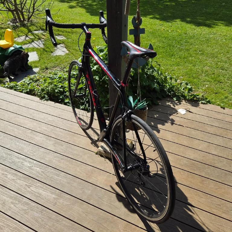 Trek Rennvelo – Carbon – Top Zustand in der Schweiz - Bild 2