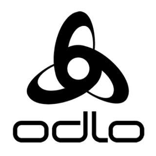 HR Manager 40-50% in Arth - Bild 1