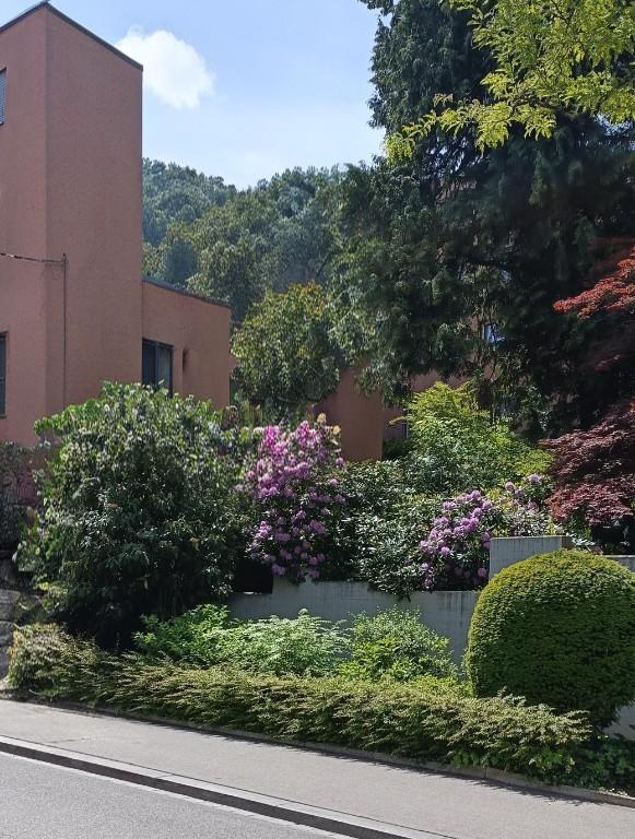 Fachkundige Gartenpflege Gärtnerin mit Profi-Erfahrung aus Fachb in Opfikon - Bild 2