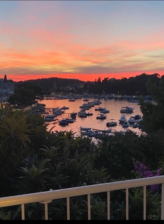 45m² apartment in Cavtat near Dubrovnik, Kroatien Croatia. in Willisau - Bild 1