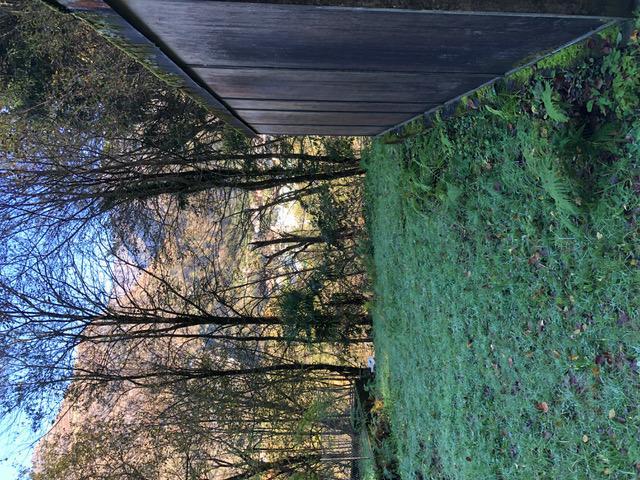 Terreno privato con garage a Moghegno – Vallemaggia in Locarno - Bild 2
