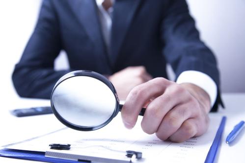 PROFESSIONAL AGENT COSTS AND SOCIAL NETWORKS, Coahuila63835252449155120