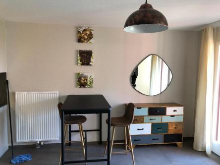Amazing Studio In Lausanne Close To Epfl Unil in Schübelbach - Bild 1