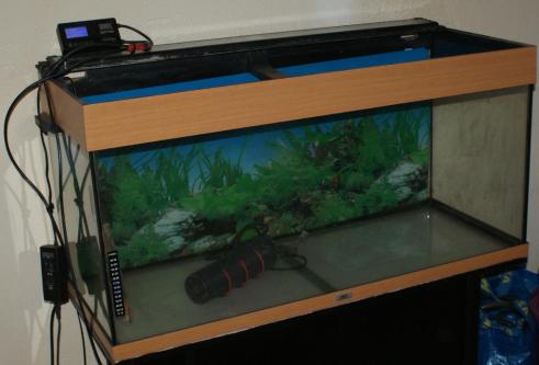 Aquarium 160 Liter in Bremgarten - Bild 1