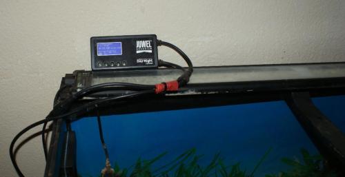 Aquarium 160 Liter in Bremgarten - Bild 3
