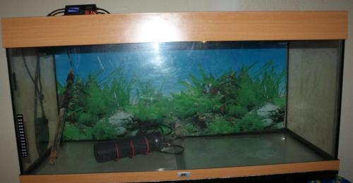 Aquarium 160 Liter in Bremgarten - Bild 4