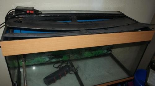 Aquarium 160 Liter in Bremgarten - Bild 5