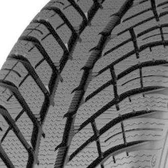 Avon WX7 Winter 225/45 R18 95V in Bern - Bild 1