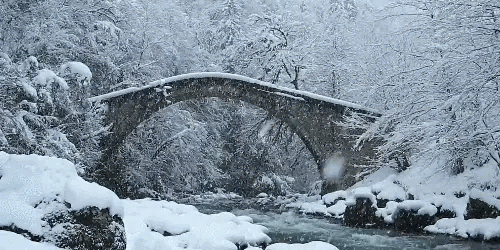 BE Melde dich, wenn du den Mut hast nicht alleine zu sein in Willisau - Bild 2
