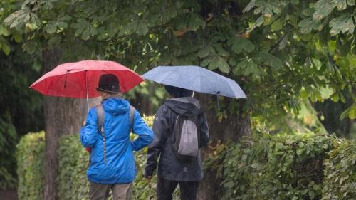 BE Unter meinem Schirm hat‘s Platz - melde dich wieder! in Bern - Bild 2