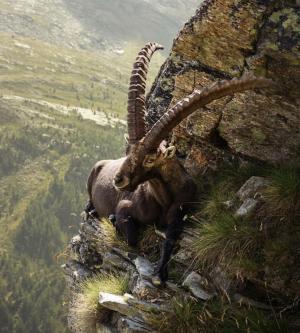 BE Wer sucht einen Freund+ … in Willisau - Bild 7