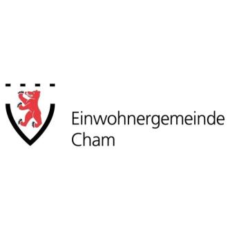 Betreuer/in Modulare Tagesschule in Hünenberg - Bild 1