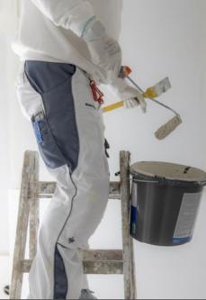 Biete professionelle Malerarbeiten an. in Eschenbach - Bild 3