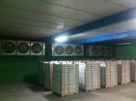 CAMARAS DE REFRIGRACION Y CONGELACION VENTAS SERVICIOS, ZAPOPAN