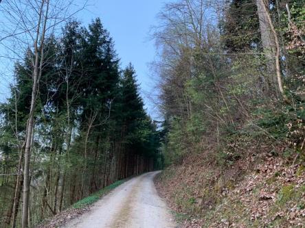 CHF 100.00 wenn du mir rasch deine Brüste zeigst! in Aarau - Bild 1