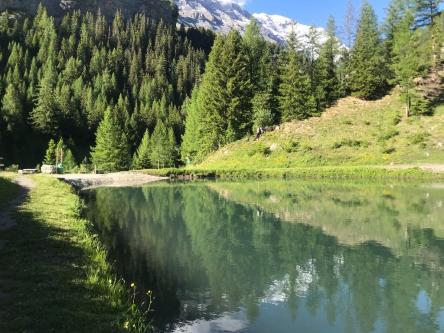 Chalet CH-10, schönes grosses Chalet von hoher Qualität in Sierre - Bild 7
