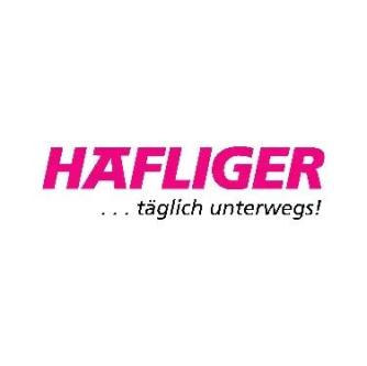 Chauffeur in Sursee - Bild 1